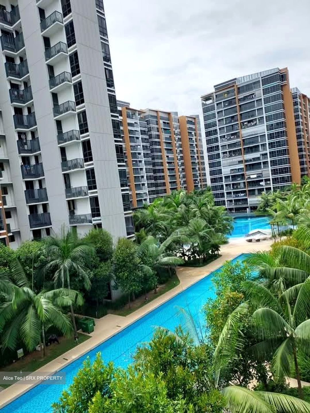 Coco Palms (D18), Condominium #572285521